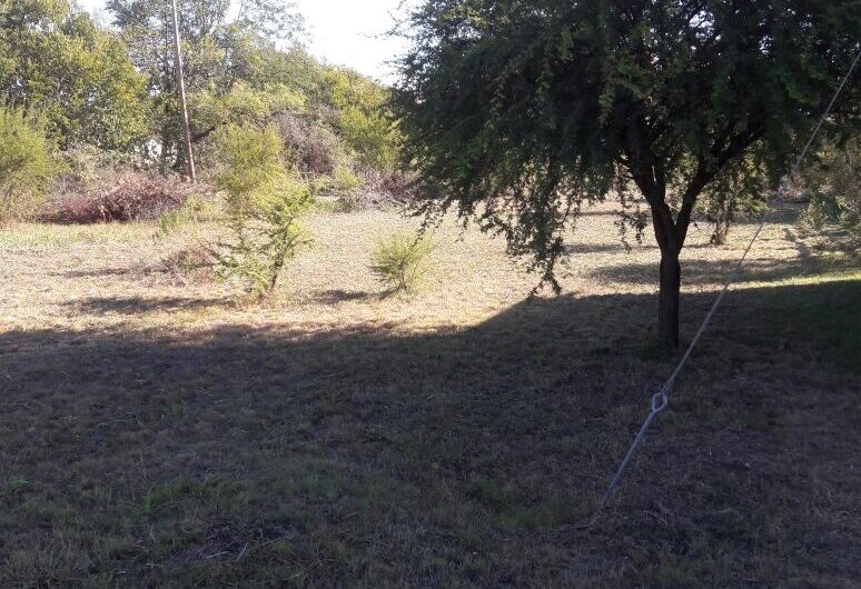 Lote 300 M2.